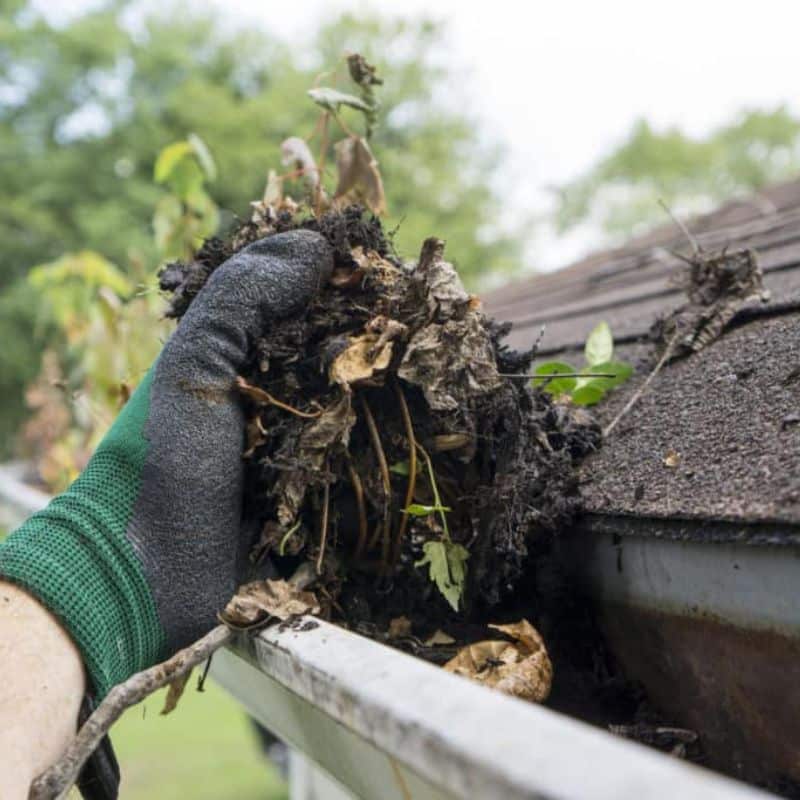 Gutter Washing Company in Wayne, NJ