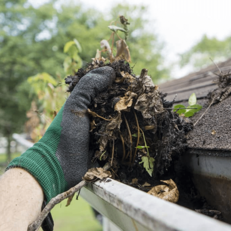 Gutter Cleanouts